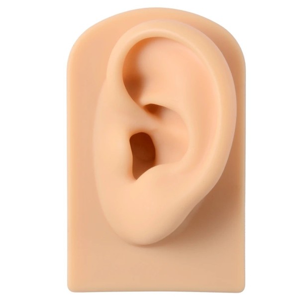 Modelo de silicone da orelha esquerda 7,8 × 4,9 × 4 cm Modelo de treino macio para prática de piercing e tatuagem Nude