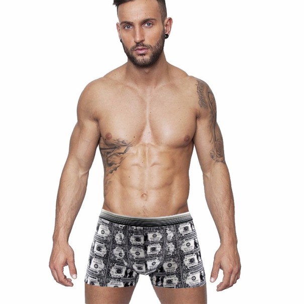 Moderné pánske boxerky s potlačou dolárov XS