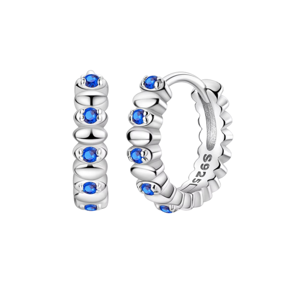 Moderne silberne Ohrringe 925 Für den täglichen Gebrauch und Abendpartys Elegantes kreisförmiges Design für Frauen 1