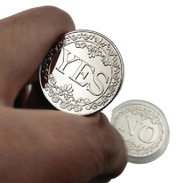Monedă metalică cu două fețe de 2,5 cm, cu da și nu pe fiecare parte, monedă de ajutor pentru decizie, da și nu, de colecție, placată cu aur argint