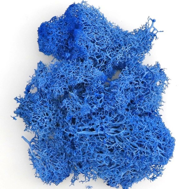 Moss artificiale colorato 200 g Erba decorativa Finti piante verdi Mini paesaggio DIY artigianato Decorazione da giardino domestico Soggiorno blu