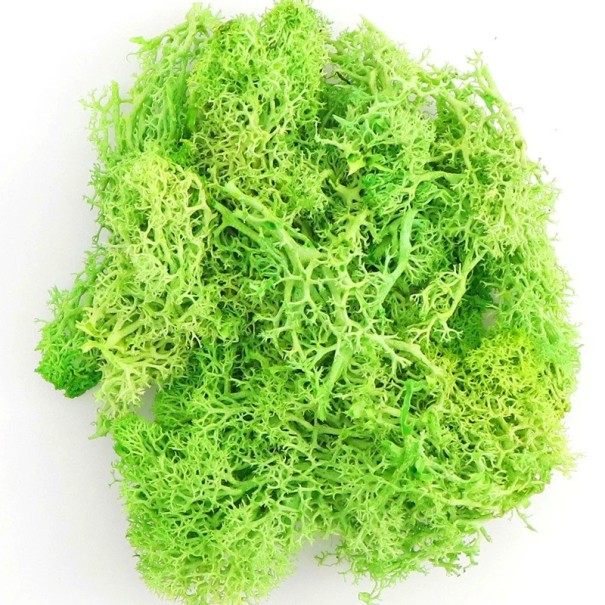 Moss artificiale colorato 200 g Erba decorativa Finti piante verdi Mini paesaggio DIY artigianato Decorazione da giardino domestico Soggiorno verde