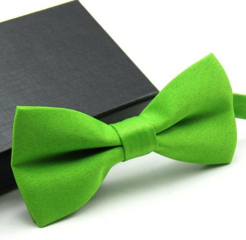 Motýlek UNISEX světle zelená