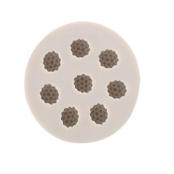 Moule en silicone fruits des bois 1