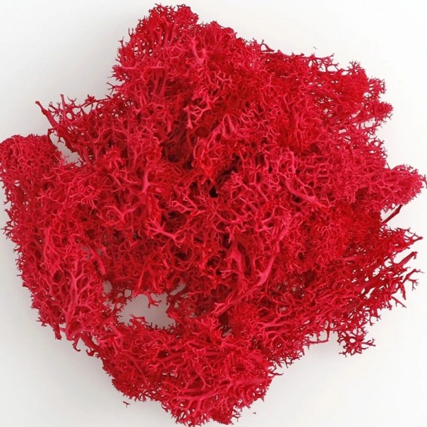 Mușchi artificial colorat, 200 g, iarbă decorativă de mușchi, plante verzi false, mini peisaj, artizanat, decor pentru grădină roșu