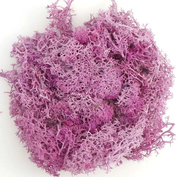 Musgo artificial colorido de 200 g, césped decorativo, plantas verdes falsas, minipaisaje, manualidades, decoración del hogar, jardín y sala de estar. morado