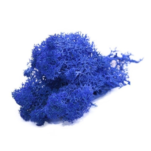 Musgo decorativo artificial C647 azul oscuro
