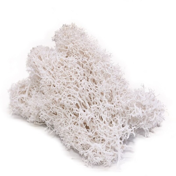 Musgo decorativo artificial C647 blanco
