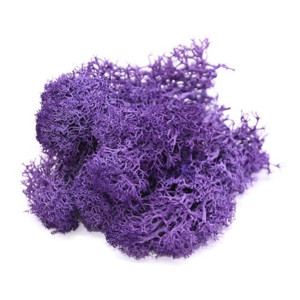 Musgo decorativo artificial C647 roxo