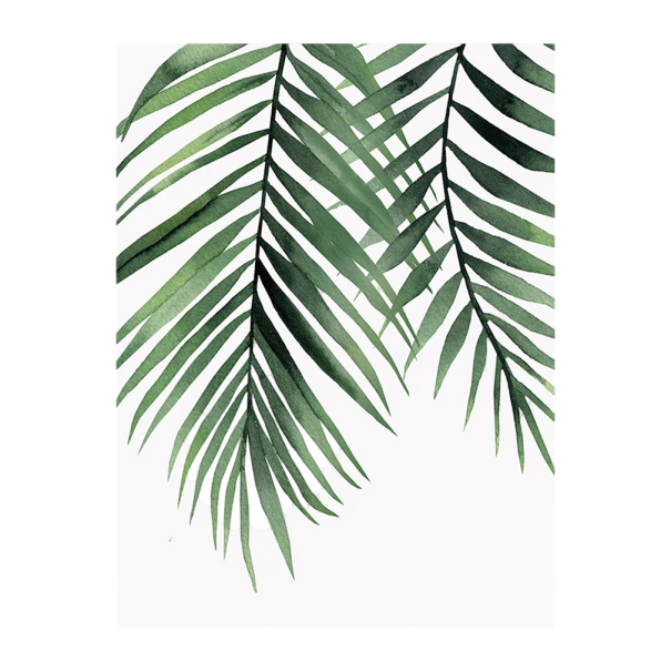 Nagy formátumú botanikai poszter pálmalevelekkel 40 × 60 cm vászonra nyomtatva zöld természetes motívum falikép keret nélkül 1