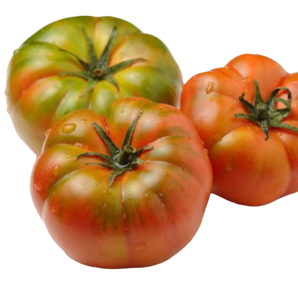 Nasiona pomidora Marmande 300 szt. Nasiona Solanum lycopersicum Łatwe w uprawie 1