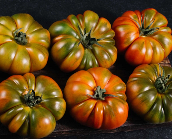 Nasiona pomidorów Raf Marmande 300 szt. Nasiona Solanum lycopersicum Łatwe w uprawie 1