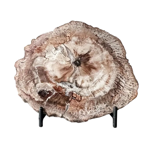 Natural Wooden Stone Irregular Shape 100–150 g Natural Mineral Brown Beige Structure Decorative Stone for Collectors 1