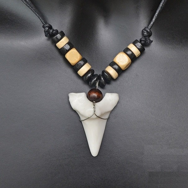 Necklace with Shark Tooth cream