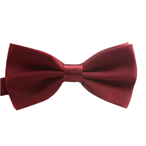 Nœud papillon pour enfants Accessoire élégant Taille ajustable Design à la mode Idéal pour les mariages, les célébrations, les événements scolaires Matériau de qualité Fermeture confortable bordeaux