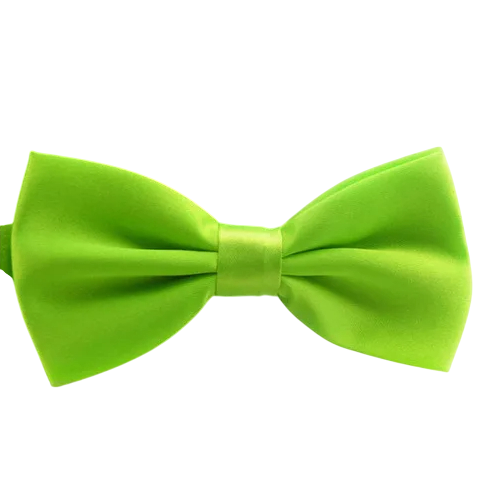 Nœud papillon pour enfants Accessoire élégant Taille ajustable Design à la mode Idéal pour les mariages, les célébrations, les événements scolaires Matériau de qualité Fermeture confortable vert