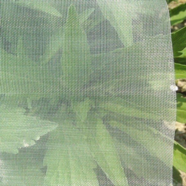 Non-woven stof voor gewasbescherming 15 m 3 m