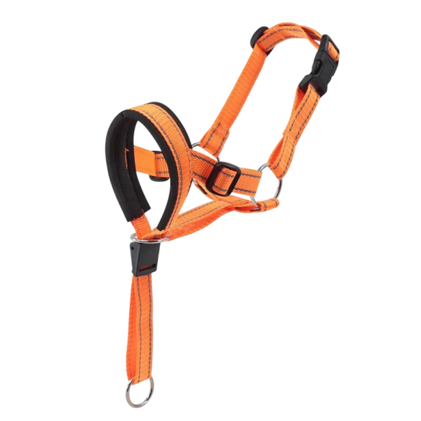 Nylonový psí náhubkový postroj velikost XL Obvod tlamy 35,6 - 45,7 cm Obvod krku 52,6 - 65,5 cm Nastavitelný a prodyšný oranžová