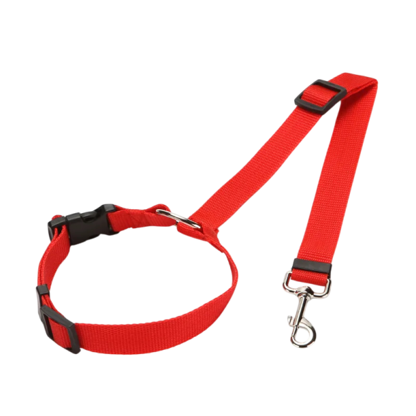 Obiectiv de protecție pentru câini 2 în 1 cu curea de nailon roșu Obiectiv de protecție pentru câini 2 în 1 cu curea de nailon roșu