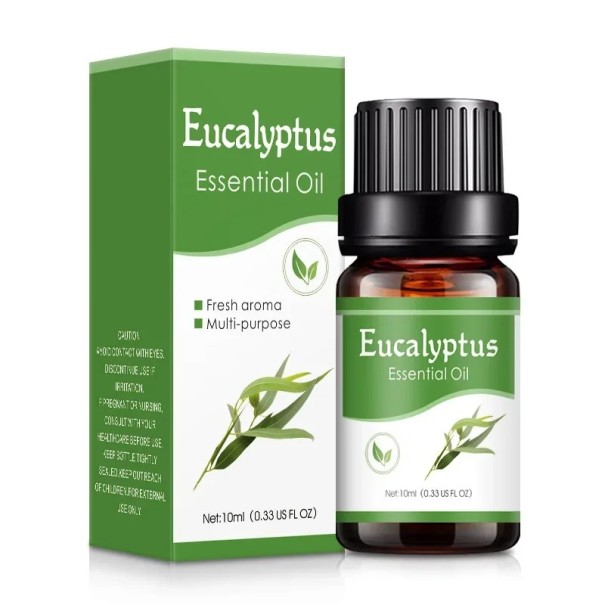 Olio essenziale per diffusore di aromi 10 ml Olio profumato diluibile in acqua Aromaterapia Relaxazione Profumo naturale Profumo per interni Eucalyptus
