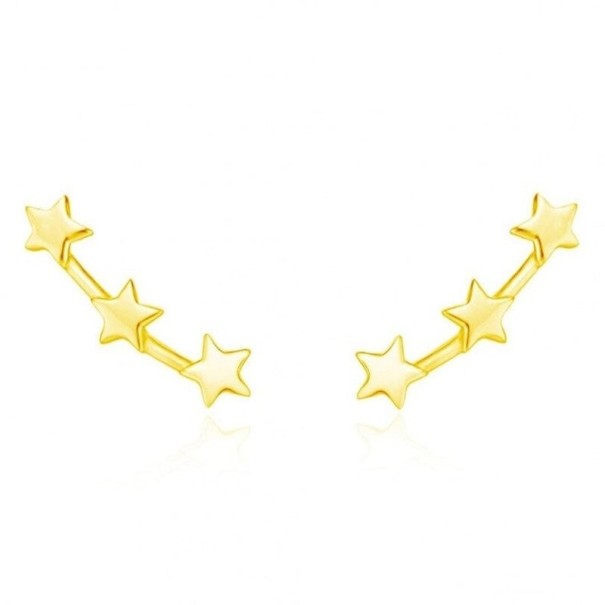 Oorbellen met ster voor dames goud