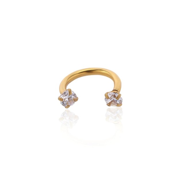 Oorbellen met zirkoon G412 goud