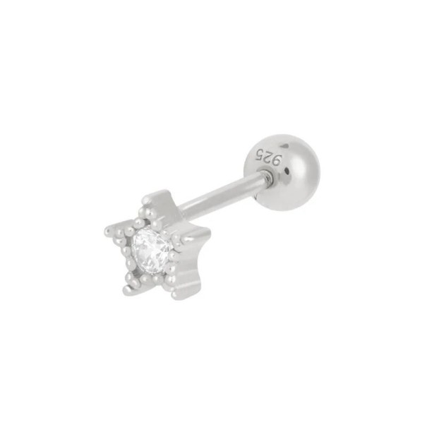 Oorbellen voor dames zilver 11