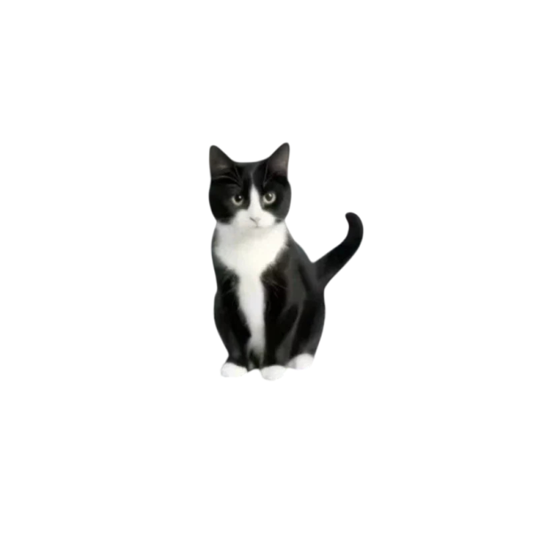 Osvěžovač vzduchu do auta klip do ventilace 2D difuzér cca 6 cm černo bílá kočka dekorace interiéru automobilu aromaterapie 1