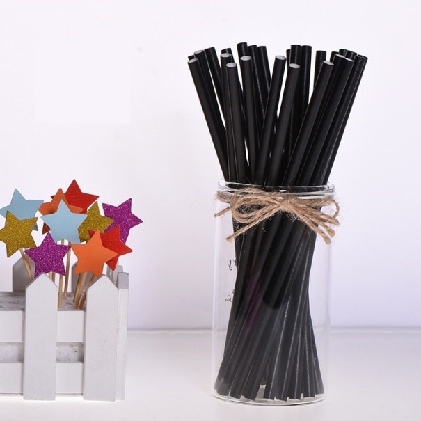 Pailles en papier 25 pièces C61 noir