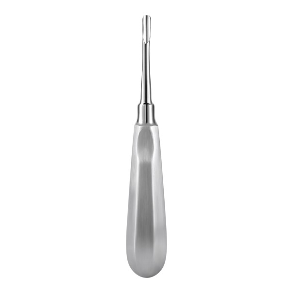 Palanca de extracción dental (elevador) con punta recta de 4 mm de acero inoxidable, plateada, instrumento quirúrgico para extracción de dientes 1