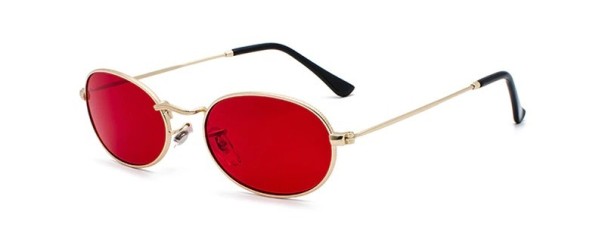 Pánské sluneční brýle E2113 5