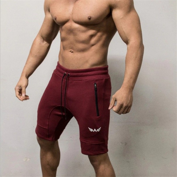 Pantaloni scurți bărbați Hans burgundy XS