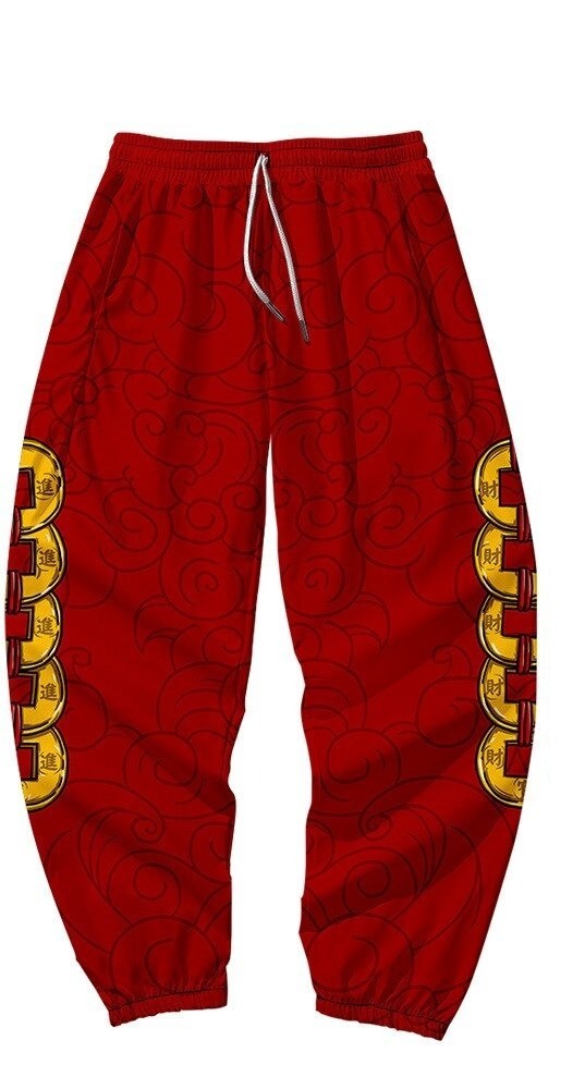 Pantalons de survêtement pour hommes F1569 L 12