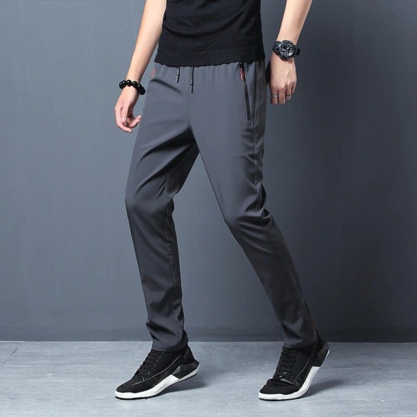 Pantalons pour hommes F1331 gris L 2