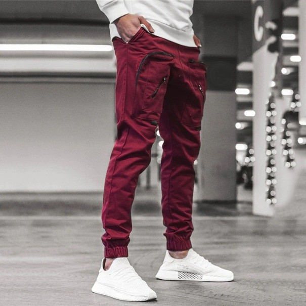 Pantalons pour hommes F1718 bordeaux L