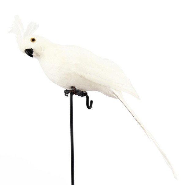 Papegaaiendecoratie wit