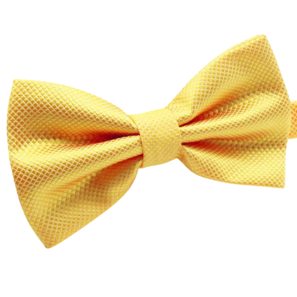 Papion elegant pentru bărbați Papion formal Mărime reglabilă Accesoriu elegant pentru baluri, nunți și evenimente formale Design clasic și modern galben