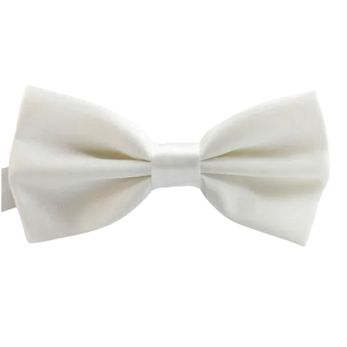 Papion pentru copii Accesoriu elegant Mărime reglabilă Design la modă Ideal pentru nunți, sărbători, evenimente școlare Material de calitate Închidere confortabilă alb