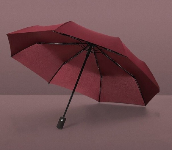Parapluie T1386 3
