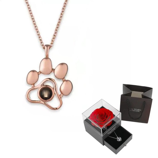 Paw Projection Halsband Set I Love You på 100 språk Titanium Chain Kopparhänge Rose Box Present till hundälskare