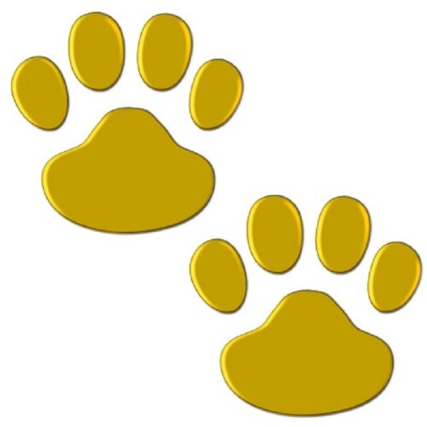 Paws bil klistermärke guld