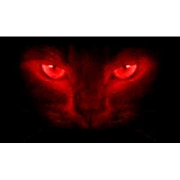 Pegatina 3D para la ventana trasera del coche 12