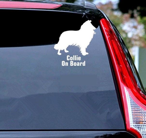 Pegatina para coche de Collie 4