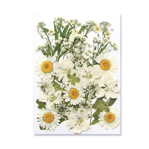 Pendente retangular decorativo em resina Flores brancas prensadas com folhas Feito à mão Joia original Presente Estilo natural 1