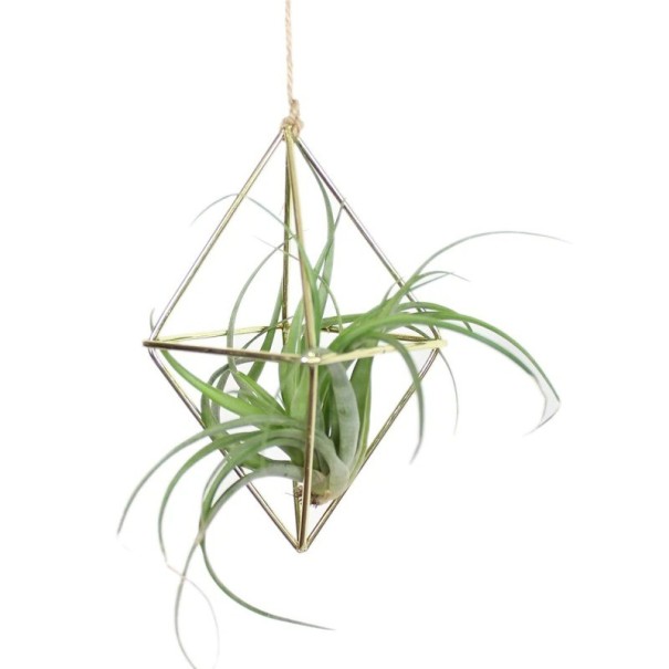 Percha de metal para flores dorado