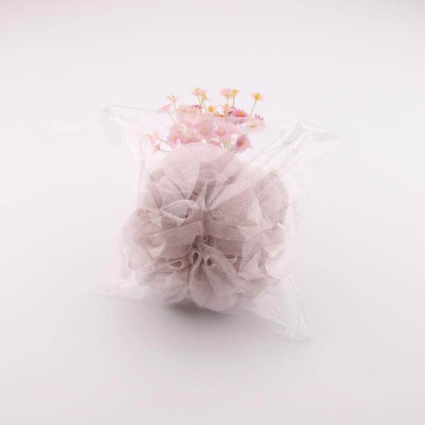 Pesusieni lenkillä 2