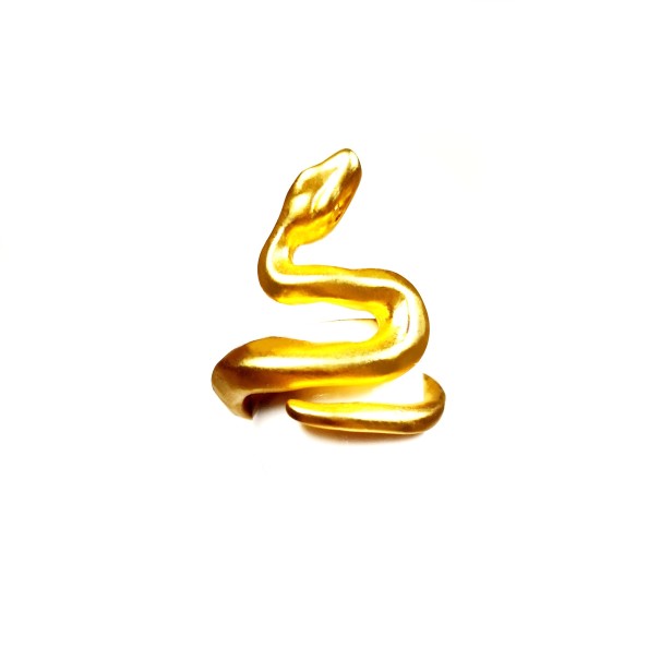 Pierścień D2421 20