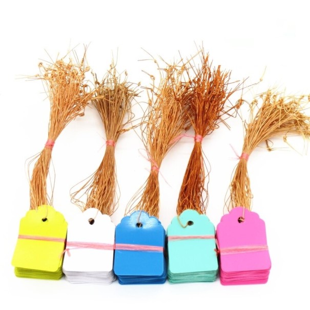 Plant Labels 100 pcs C925 multicolour