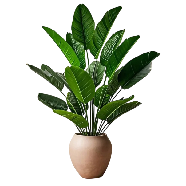 Planta artificial de estrelitzia de 81,5 cm decoración para interiores con 18 hojas planta artificial realista para el hogar y la oficina 1