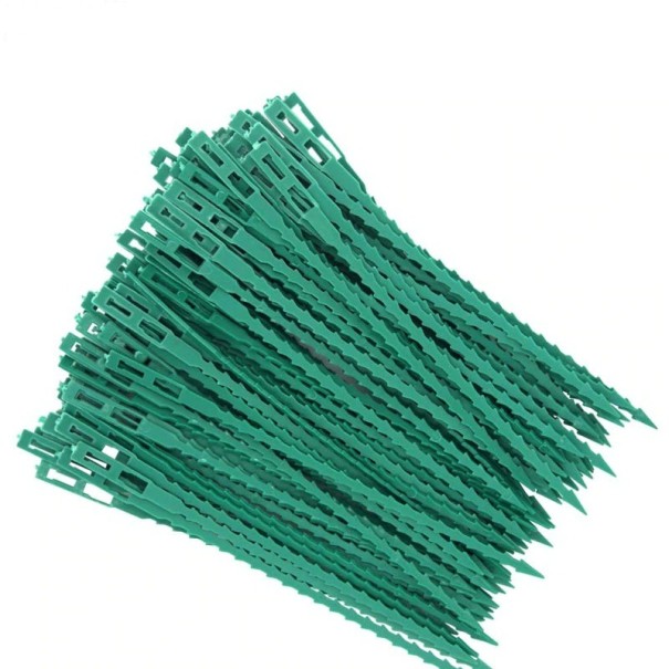 Plantband 100 st